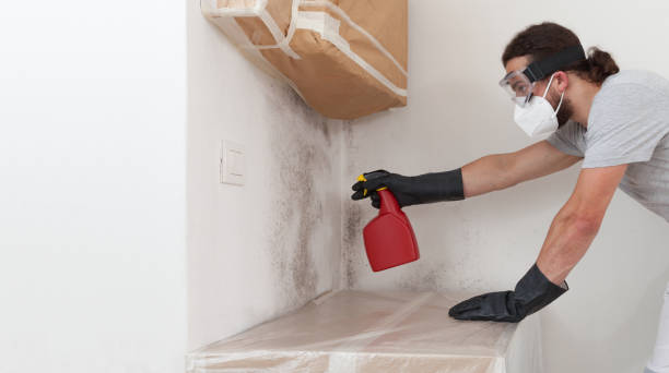 Professional Bathroom Mold Removal technician working in Leonardtown, MD