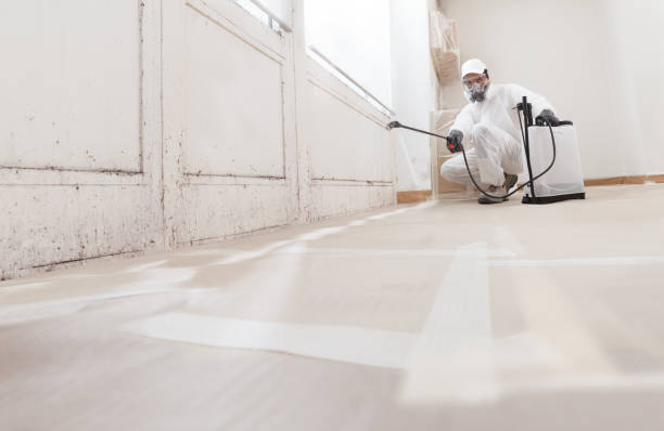 24/7 Emergency Bathroom Mold Removal experts in Leonardtown, MD